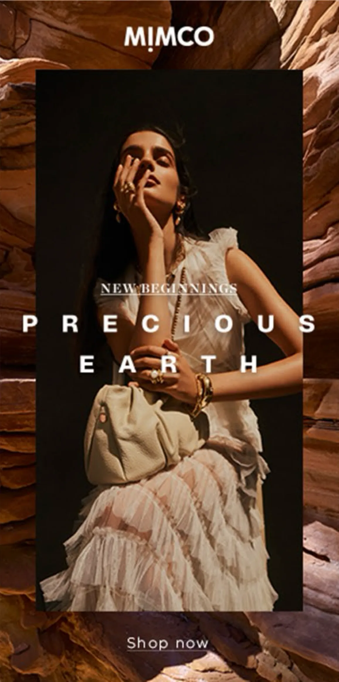 Precious Earth skyscraper banner