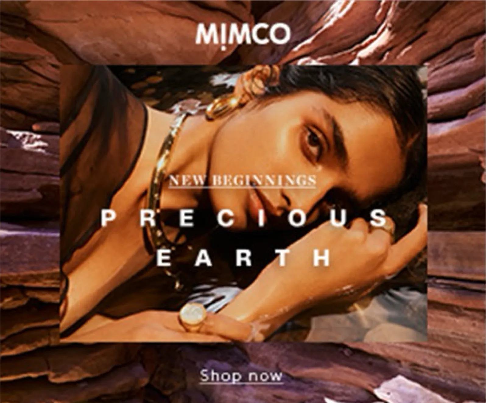 Precious Earth display banner